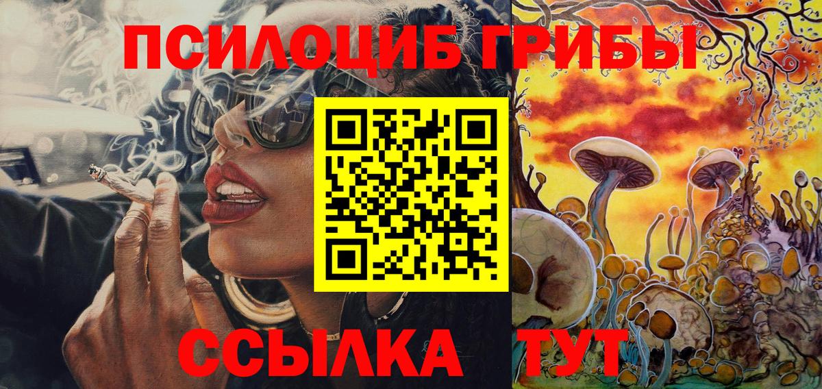 Псилоцибиновые грибы Psilocybe Новозыбков